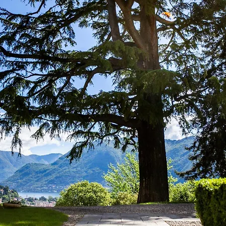 Baragiola Apartamento *