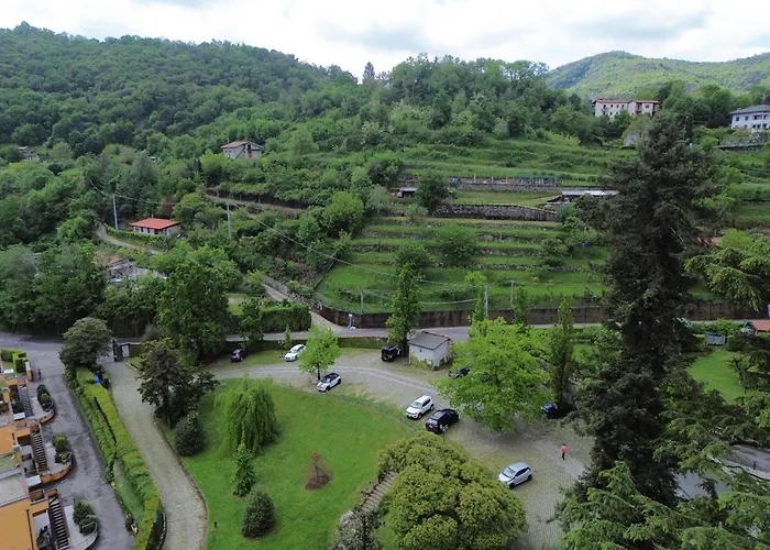 Baragiola *